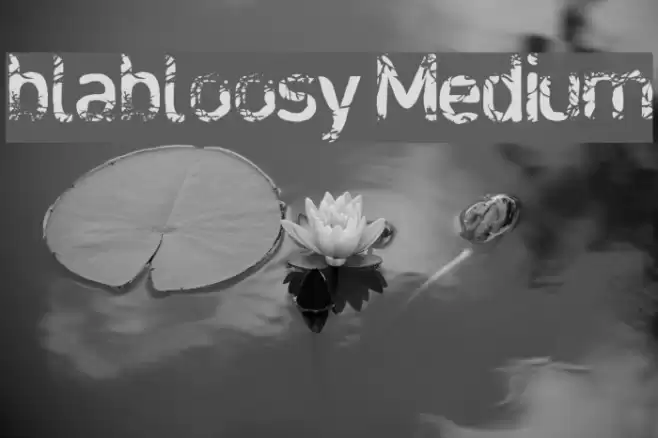 blabloosy Medium フォント examples