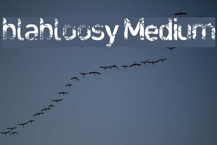 blabloosy Medium Font examples