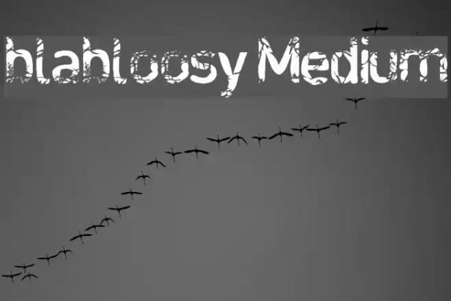 blabloosy Medium フォント examples