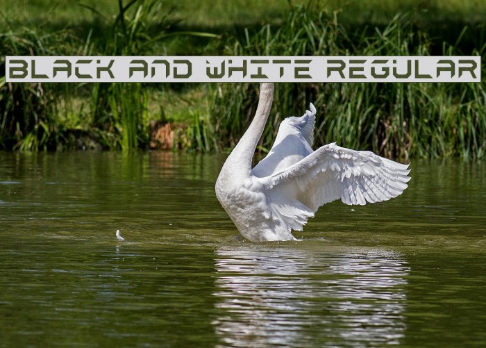 black and white Regular Font examples