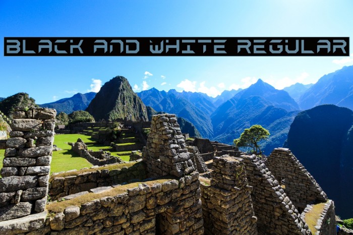 black and white Regular Font examples