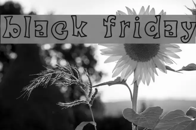 black friday Font examples