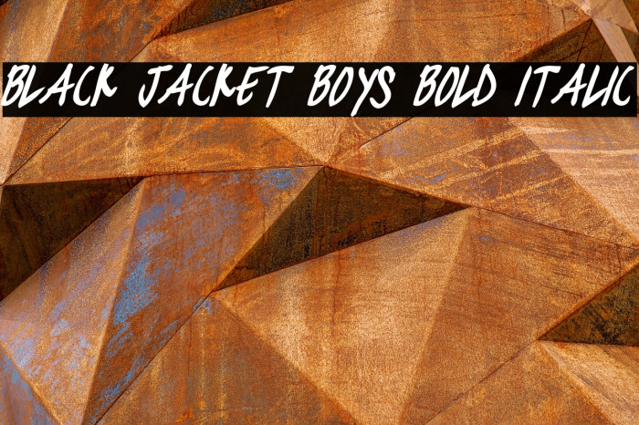 black jacket boys Bold Italic Font examples
