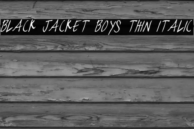 black jacket boys Thin Italic Font examples