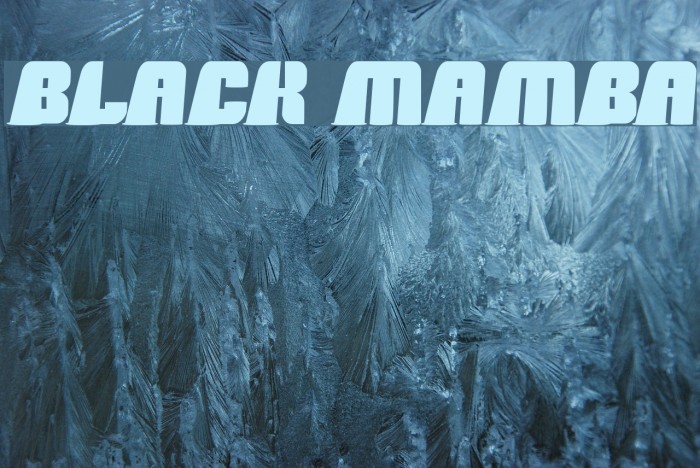 black mamba Шрифта examples