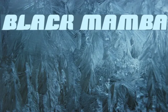 black mamba Example 1