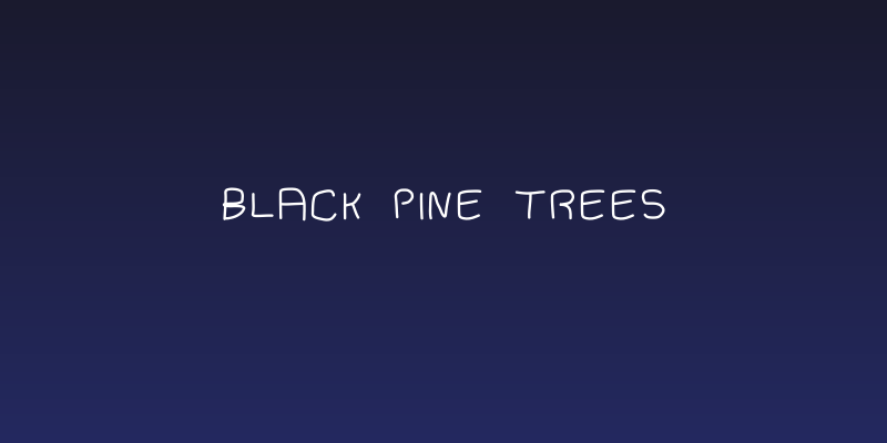 black pine trees Social Header