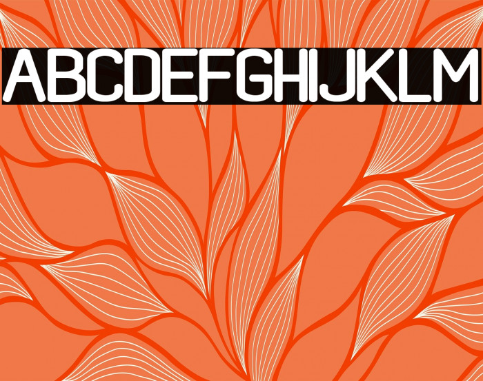 black rovers regular Example 2