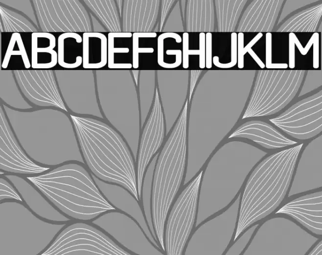 black rovers regular Fuentes examples