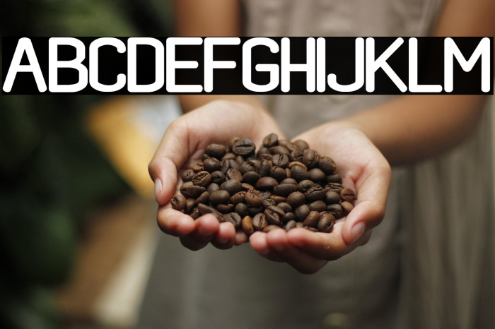 black rovers regular Example 3