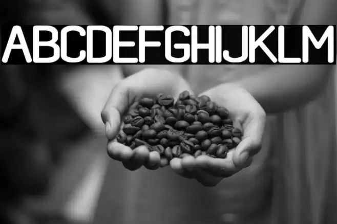 black rovers regular Fuentes examples