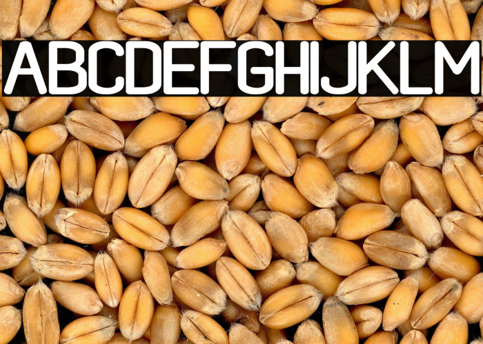 black rovers regular Example 1