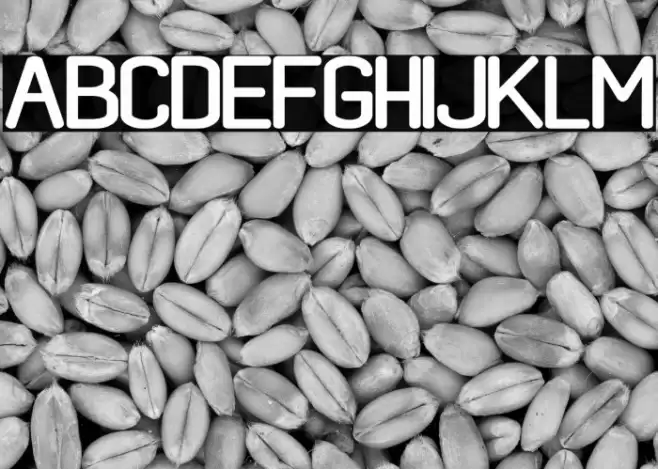 black rovers regular Font examples