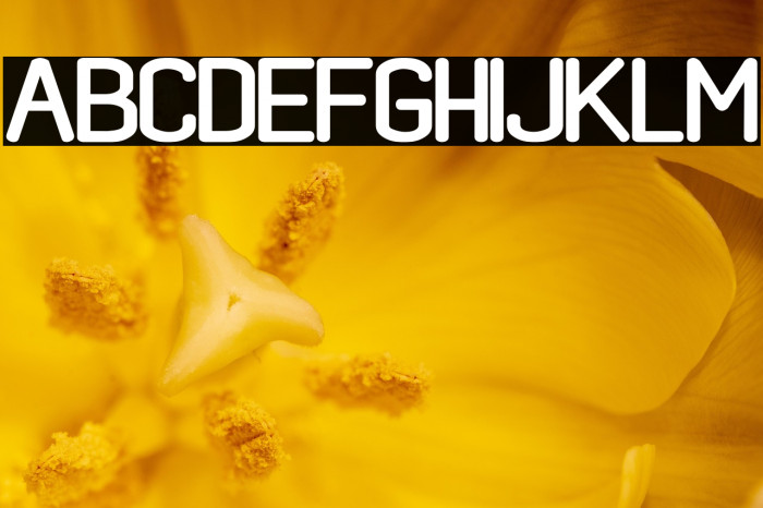 black rovers regular Example 2