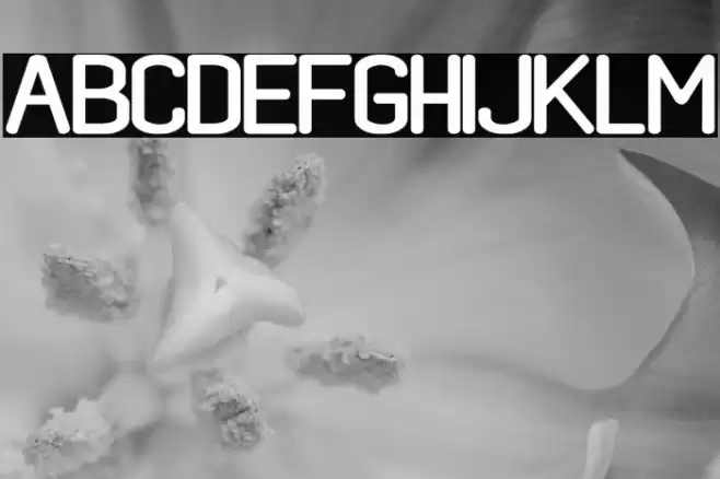 black rovers regular Font examples