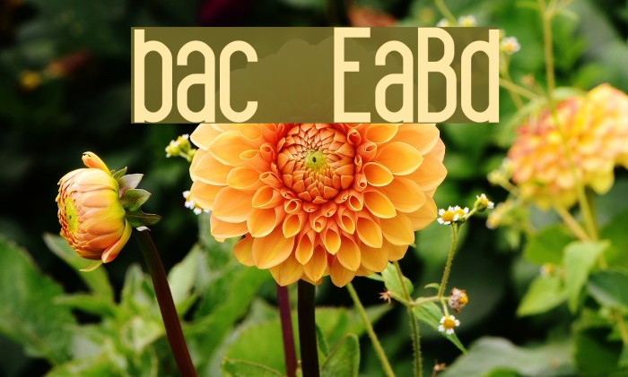 black spoon© ExtraBold Font examples