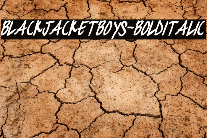 blackjacketboys-BoldItalic Example 3