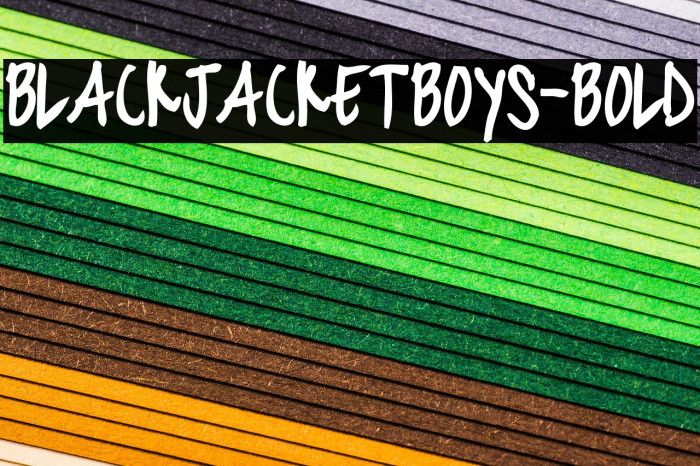 blackjacketboys-Bold Example 2