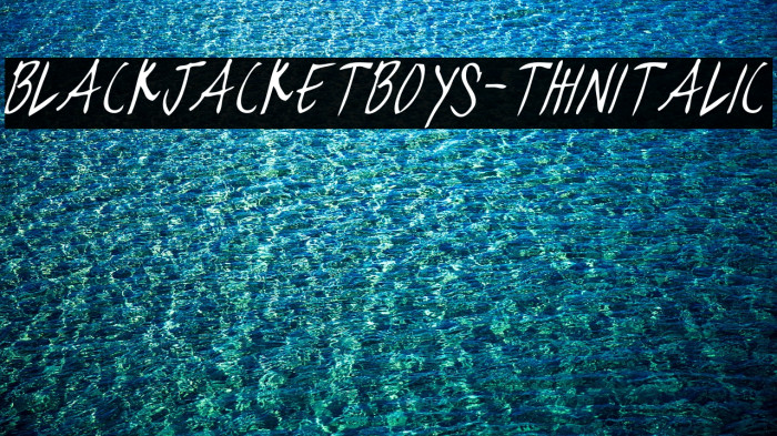 blackjacketboys-ThinItalic Example 3