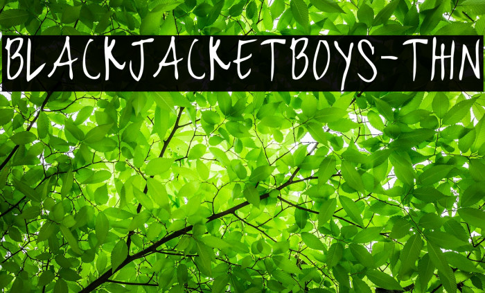 blackjacketboys-Thin Example 1