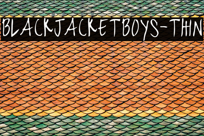 blackjacketboys-Thin Example 3
