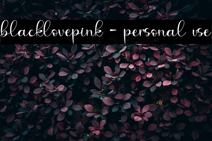 blacklovepink - personal use Example 3