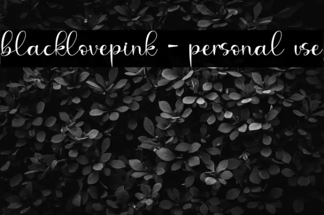 blacklovepink - personal use Font examples