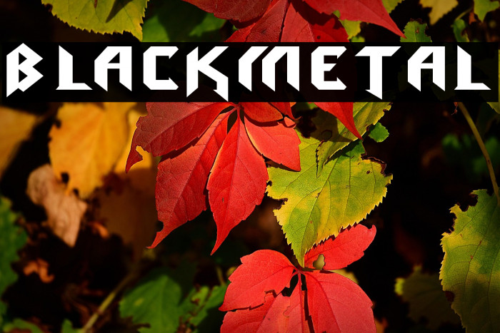 blackmetal Example 3