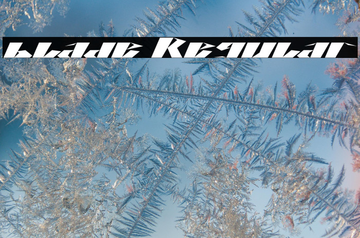 blade Regular Example 2