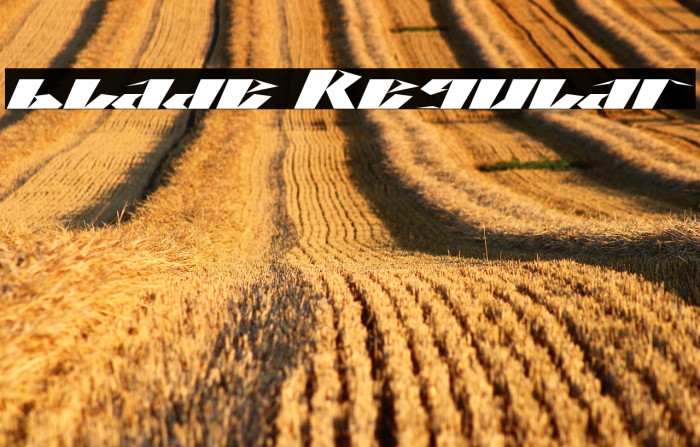 blade Regular Example 3