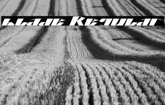 blade Regular Font examples