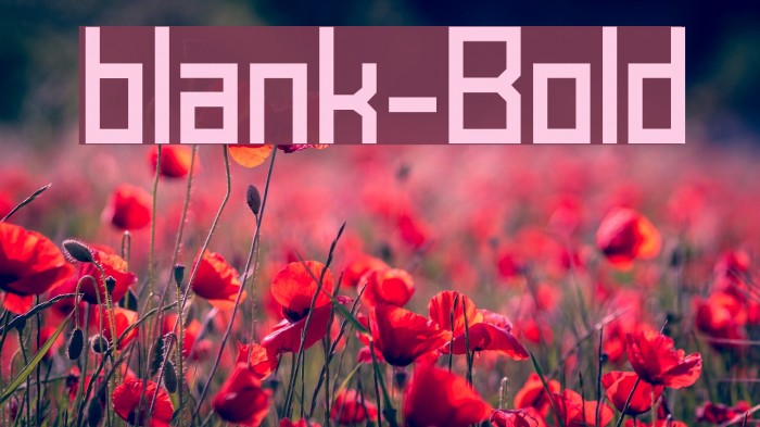 blank-Bold Font examples