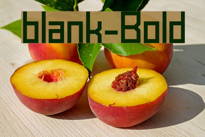 blank-Bold Font examples