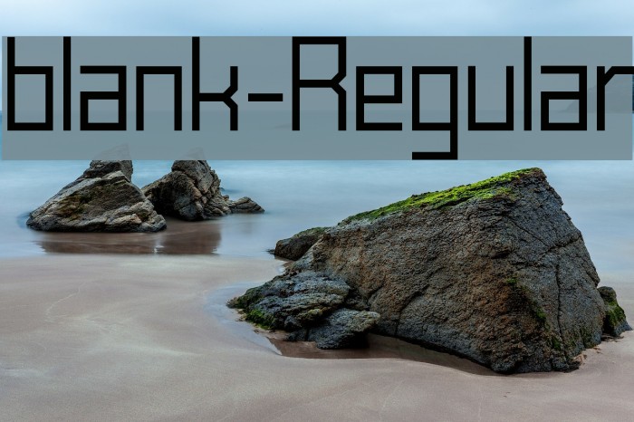 blank-Regular Font examples