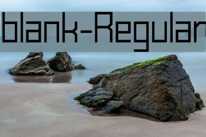 blank-Regular Example 1