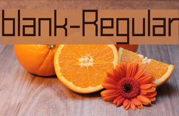 blank-Regular Font examples