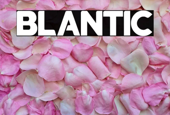 blantic Example 1