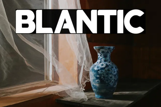 blantic Example 2