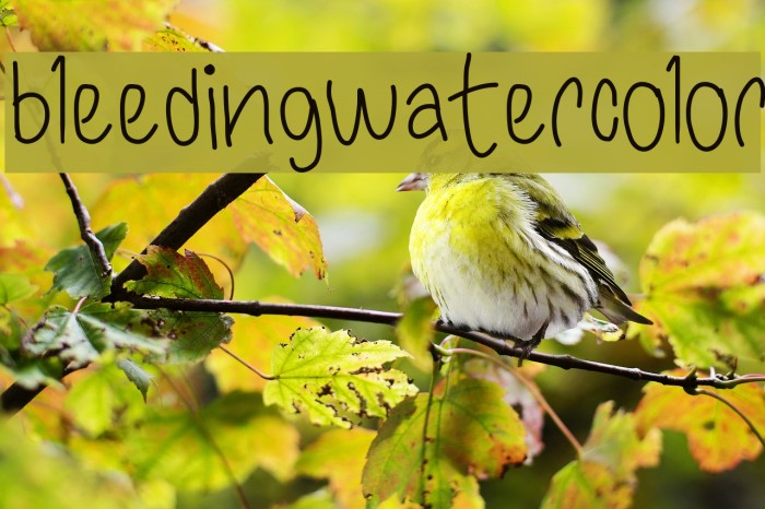 bleedingwatercolor Шрифта examples