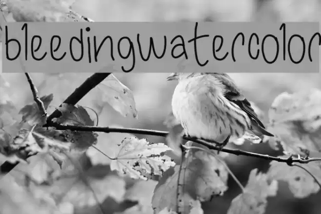 bleedingwatercolor Font examples