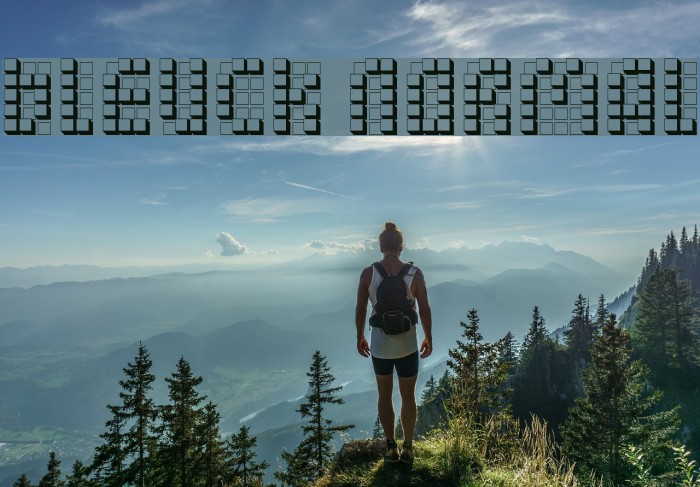 bleuck normal Font examples