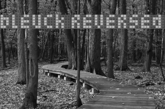 bleuck reversed Font examples