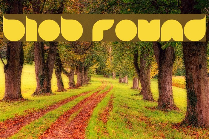 blob round Font examples