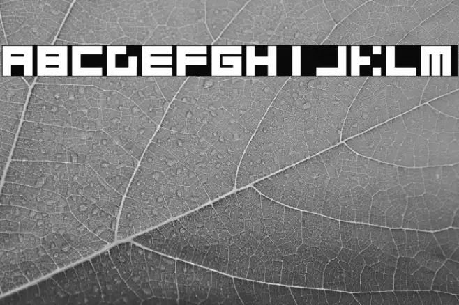 block_merged Fonte examples