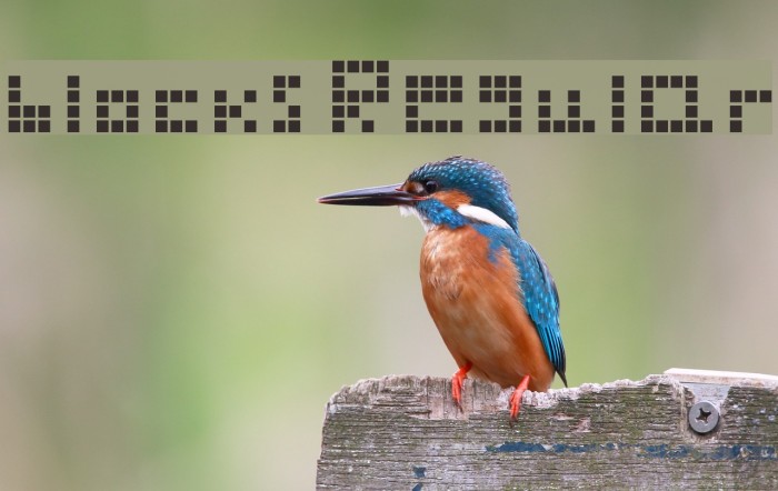 blocks Regular Font examples