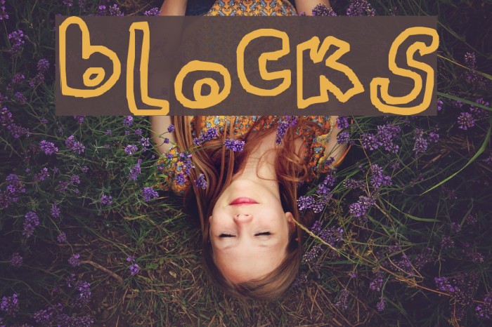 blocks Font examples