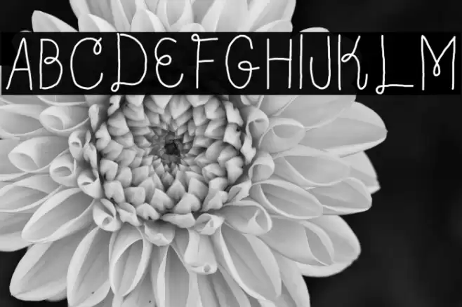 bloom Font examples