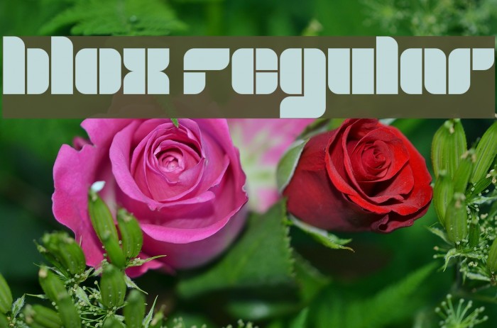 blox Regular Font examples