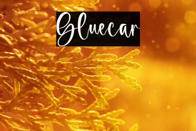 bluecar Example 1