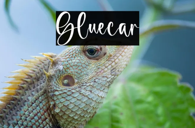 bluecar Example 2